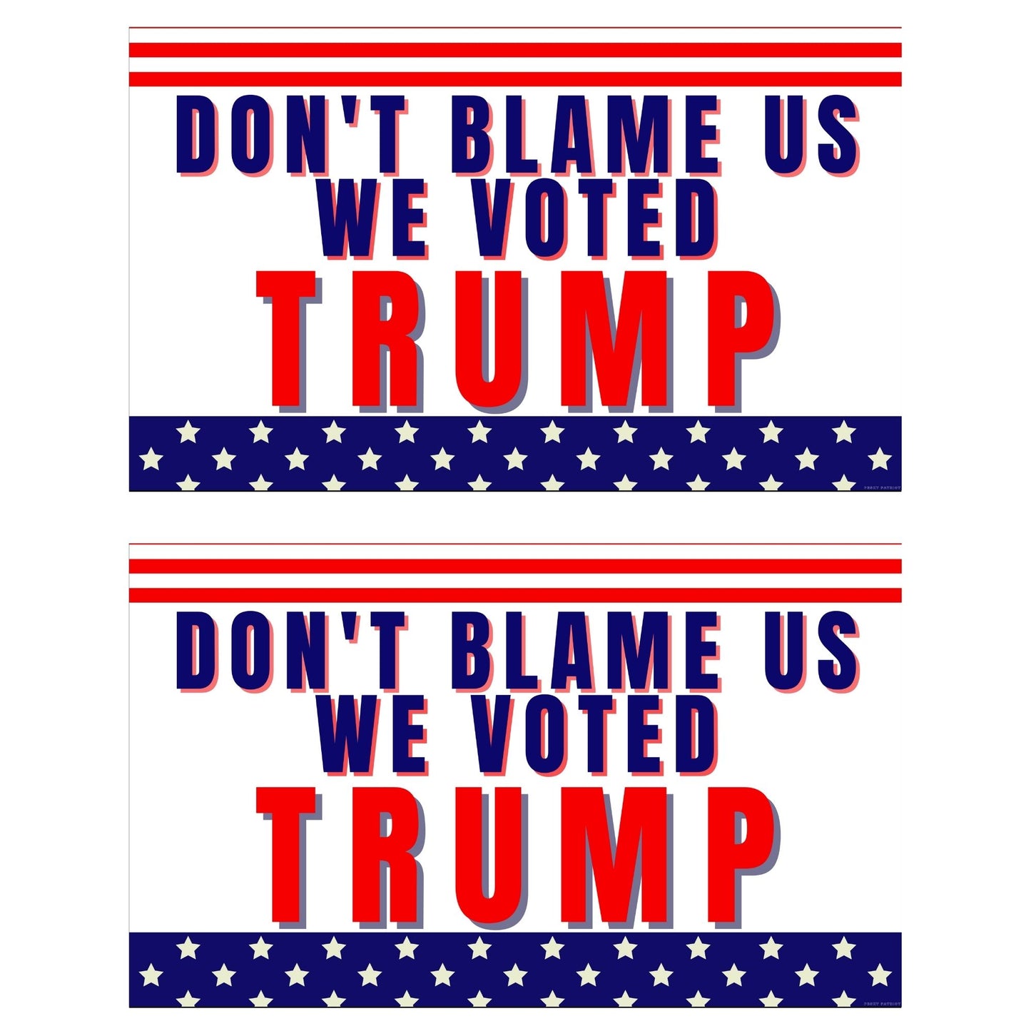 Don't Blame Us We Voted Trump Window Sticker Decals